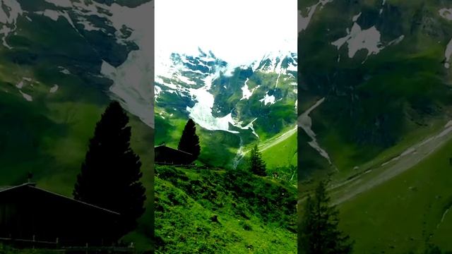 Природные виды