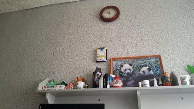 1000001251.mp4