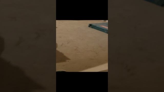 1000134569.mp4