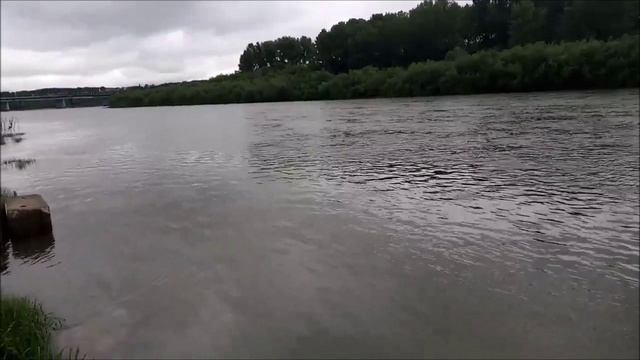 Савин Виталий -Ты промолвила.