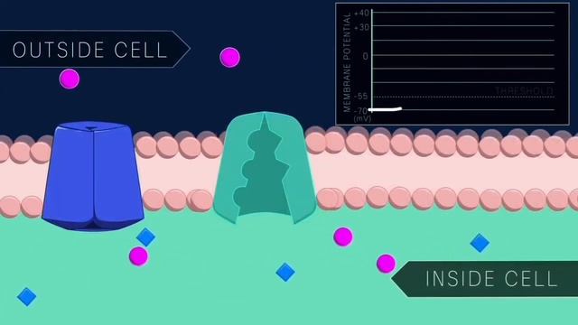 Farmakologi Toksikologi - KANAL ION