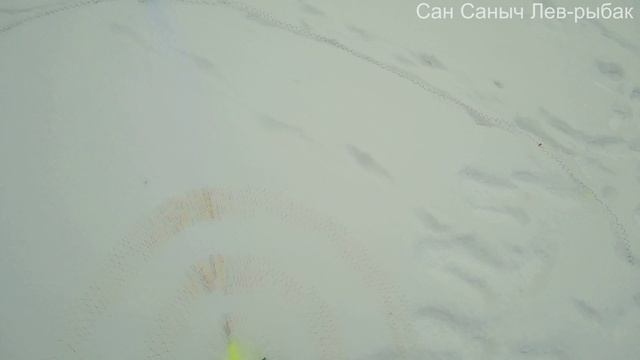 Кастинговая сеть d-4м