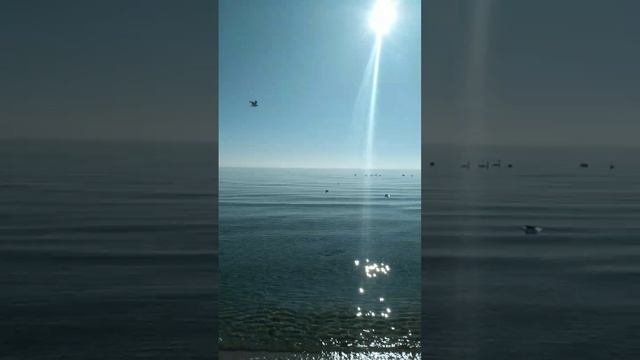 🏖черное море🏖Крым.