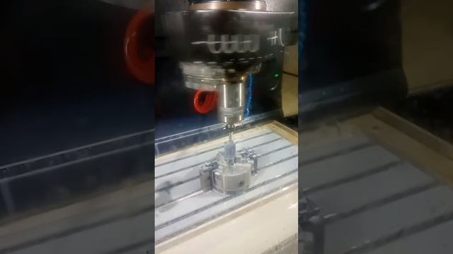 scene_output.mp4