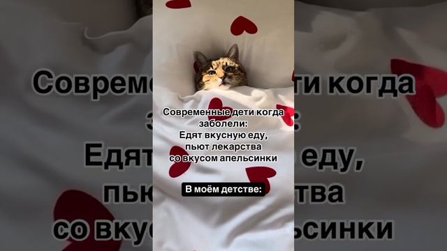 Отвечаю.mp4