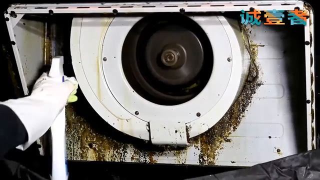 Product management course - Steam cleaner