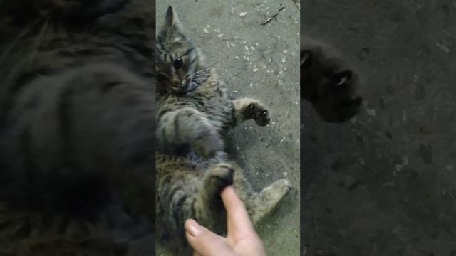 на предприятии