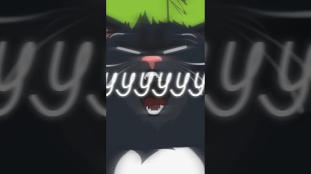 Если не покормишь кота, знай, что спокойной ночи тебе не видать