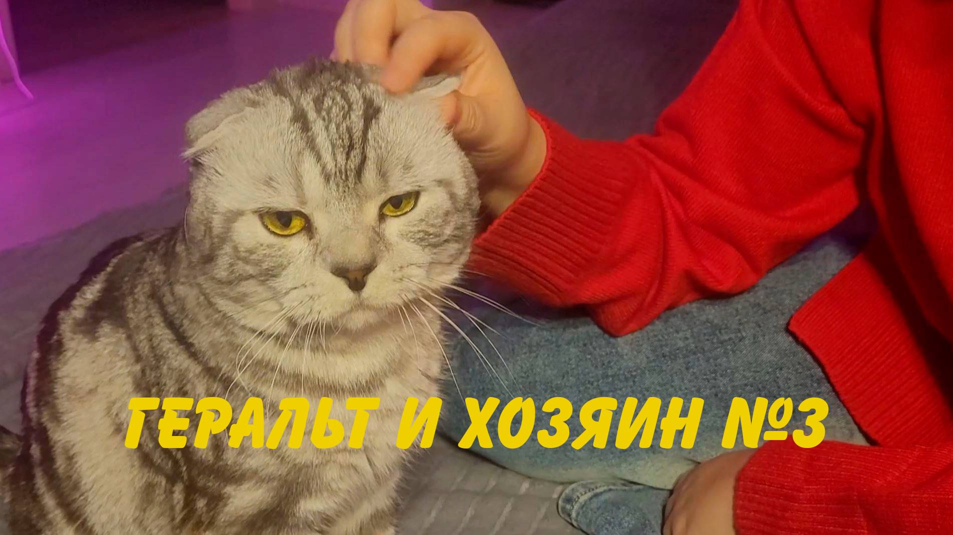Геральт и хозяин №3