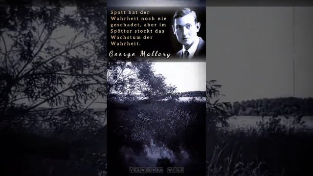 zitate und sprüche | George Mallory #sprüche #zitate #shorts