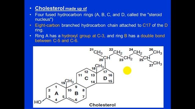 first - dr. jehad -- Lipid (2)