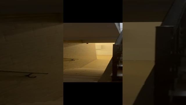 VID-20241112-WA0005.mp4