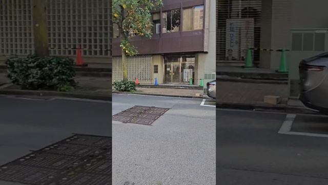 Два оттенка серебра #autoauction#carauction#автоизяпонии#купитьавто#аукционыяпонии