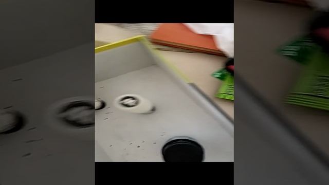 VID_2024_11_12_15_24_32_9958529287451580834606