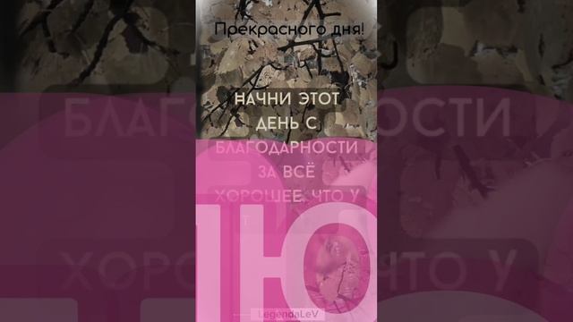 Фраза дня - Благодарение #сезонконтентаRUTUBE