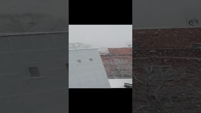 Снег... кружится летает - летает...