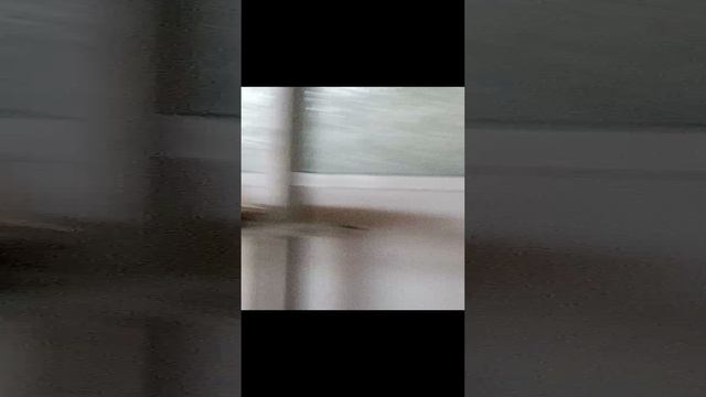 4 ноября, первый снег.