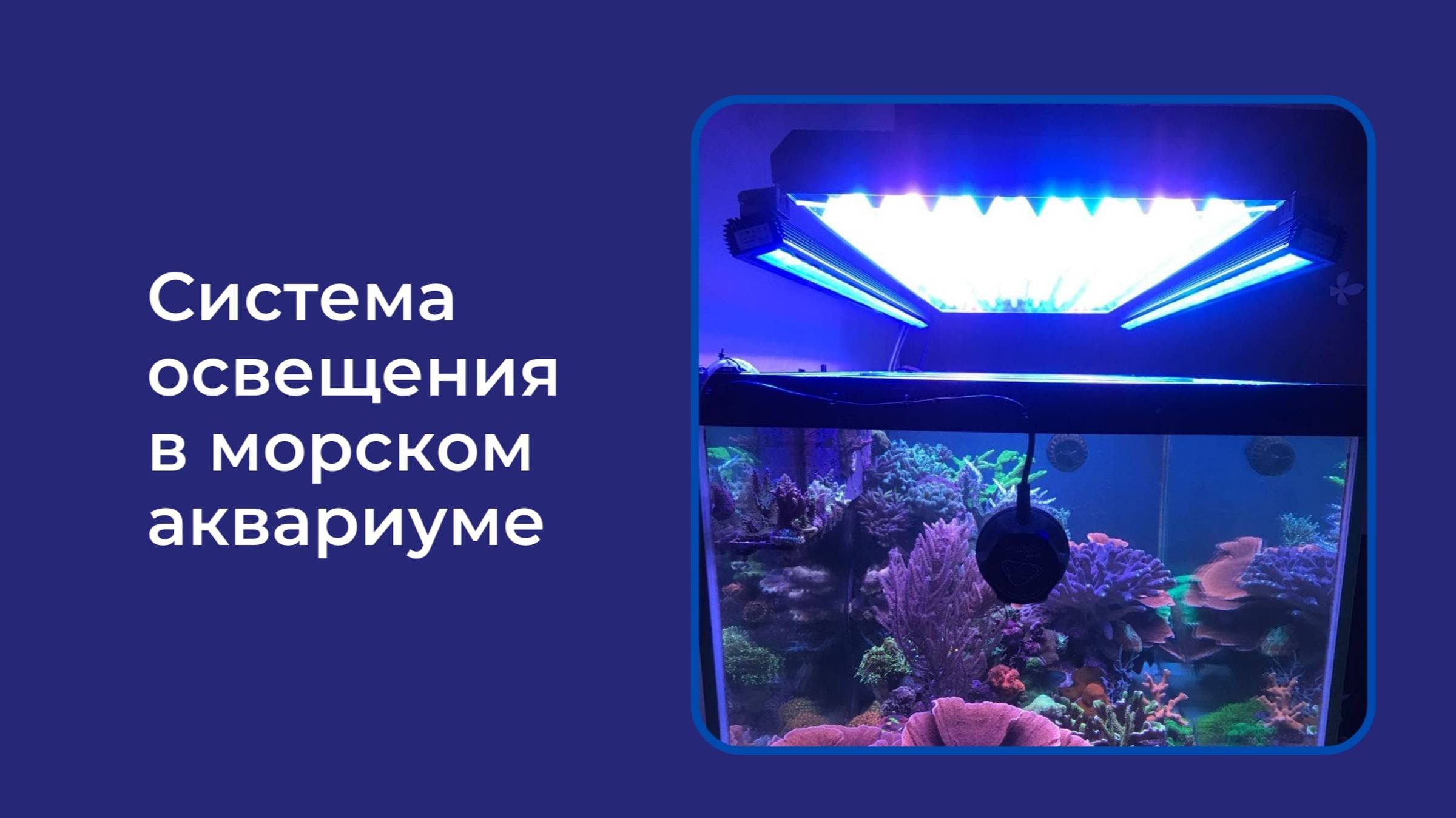 Запуск Патч-рифа. Система освещения. Обзор ледбара LumenBar V2.