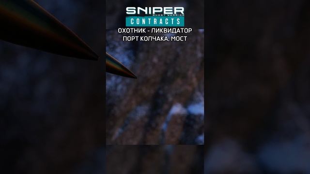 СНАЙПЕР - ЛИКВИДАТОР Sniper Ghost Warrior Contracts ПОРТ КОЛЧАКА / МОСТ