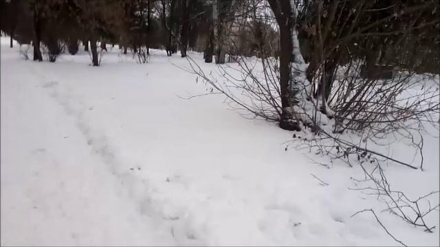 Савин-Виталий-Случайная знакомая.
