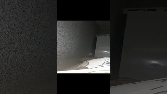 1000001388.mp4