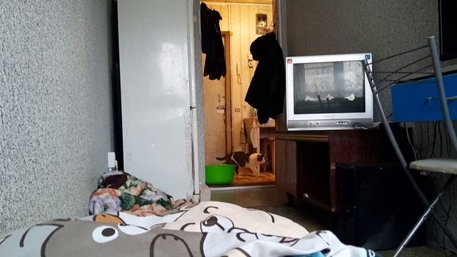 1000001262.mp4