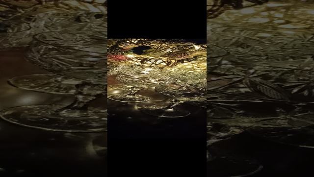 VID_20241112_161350.mp4