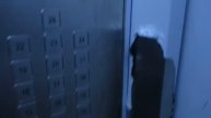 Пассажирский лифт Wellmaks 2016 года выпуска в новостройки (1094)