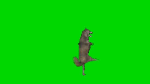 волк флексит wolf flex 2 mems