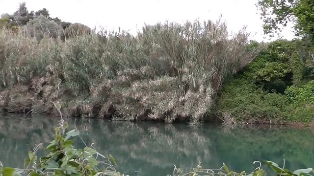 "Γνωρίζοντας το γκιζάνι της Ρόδου", περιβαλ.ντοκιμαντέρ