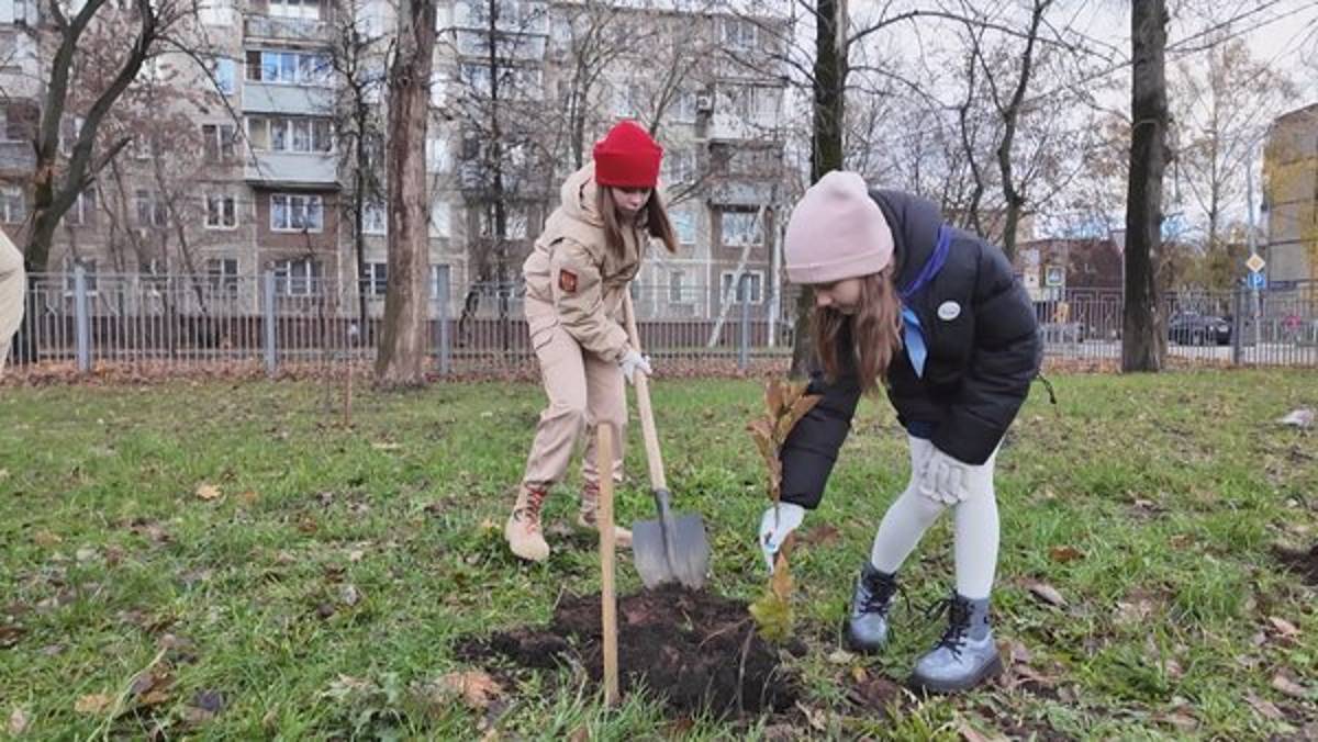 Саженцы дубов высадили в Детском городке в Щелкове