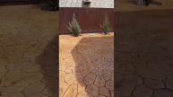 20210504 122902