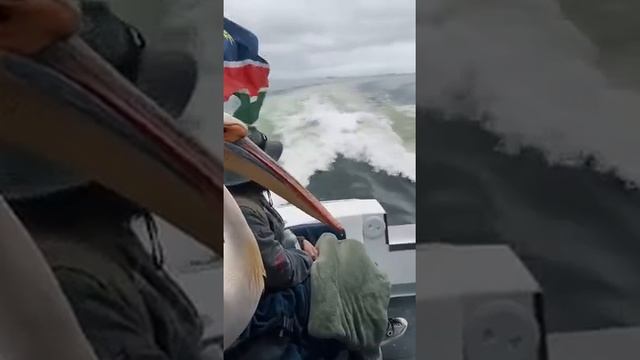 маршрутка:)