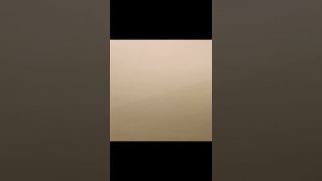 1000038710.mp4
