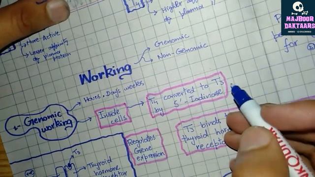 Thyroid Hormone | Endocrinology