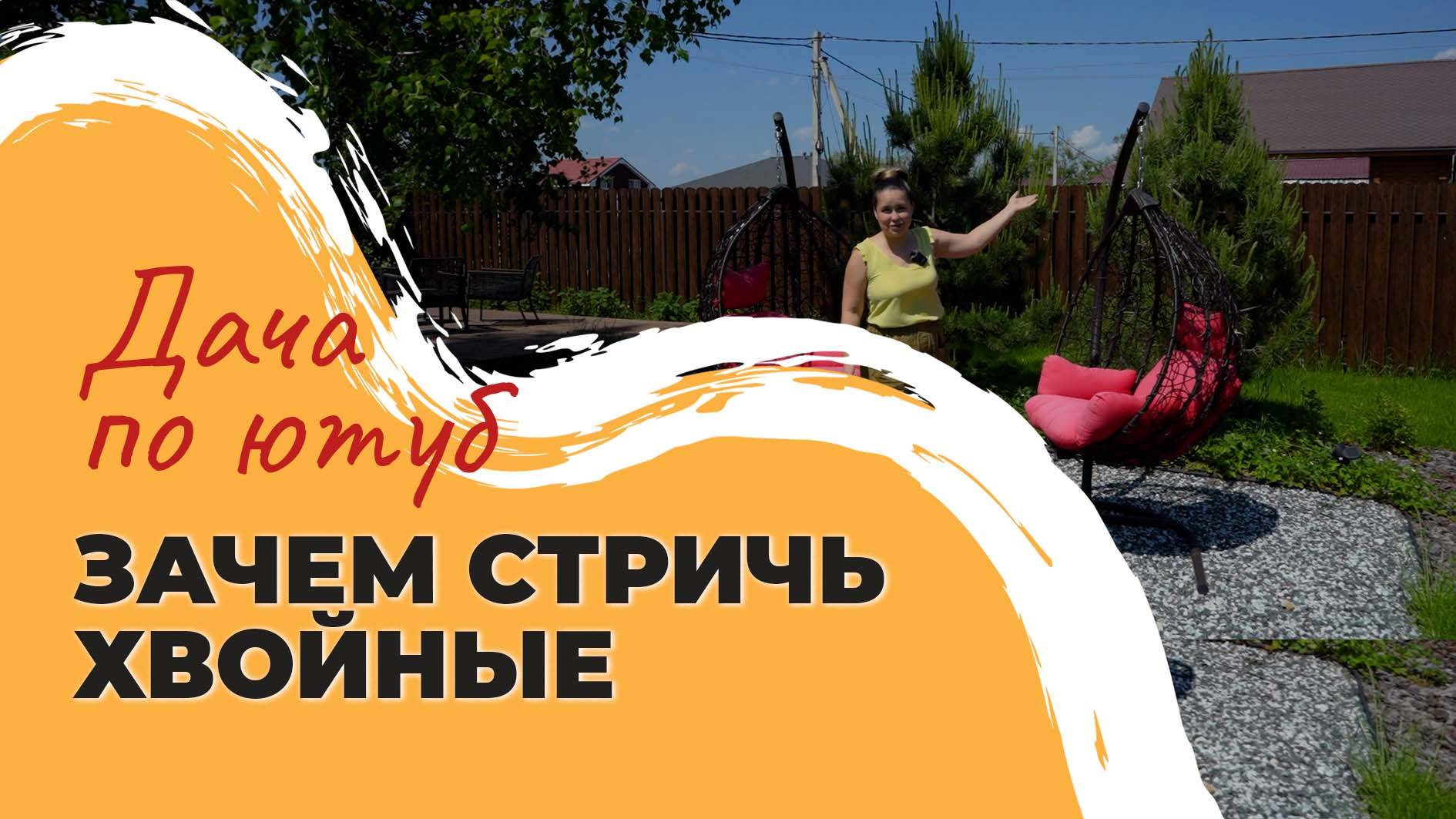 ЗАЧЕМ СТРИЧЬ ХВОЙНЫЕ | результат на видео | как стричь хвойные