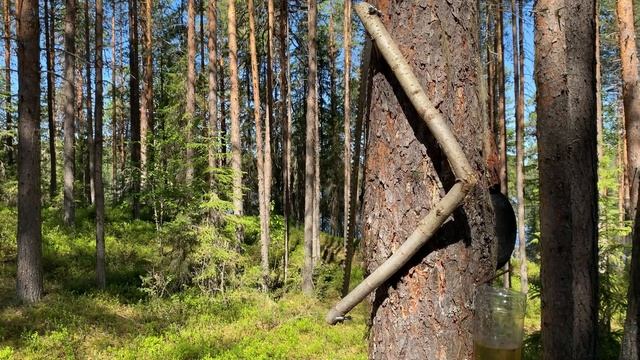Сийский монастырь, Озеро Большое Михайловское.