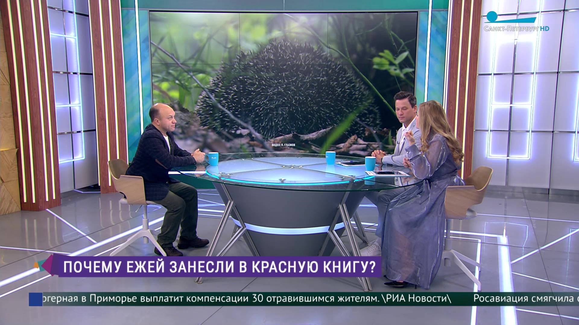 Почему ежей занесли в Красную книгу?