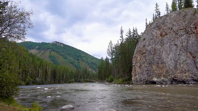 Горная река. Звуки природы.