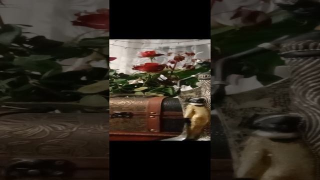 Таро.Ваша встреча.