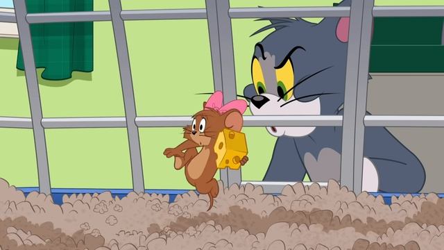 Tom & Jerry