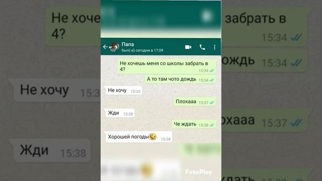 4 шт.