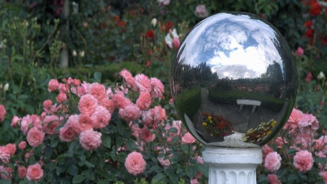 Волшебное место, где каждый цветок рассказывает свою историю, пленяя сердца