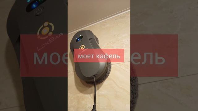 Мойщик окон вакуумный LokBar 💦 #шортс #дом #бытоваятехника #обзорпокупок