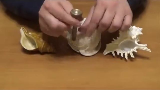 Древний способ изготовления музыкального инструмента из раковины