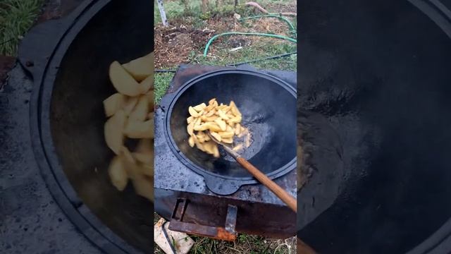 1000035568.mp4