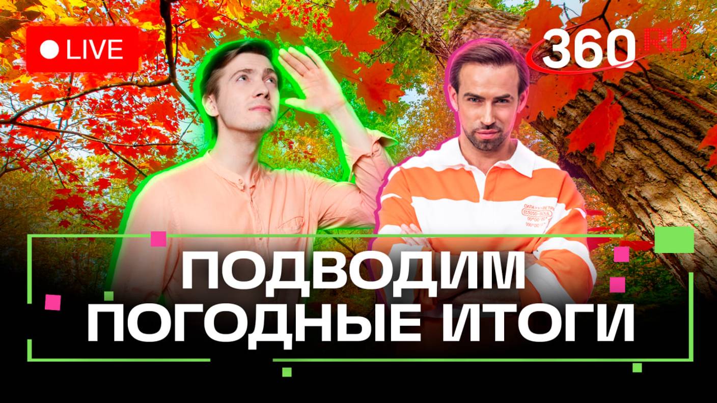 Синичкин день, похвала от Деда Мороза, когда придет снег? Прогноз погоды. Стрим