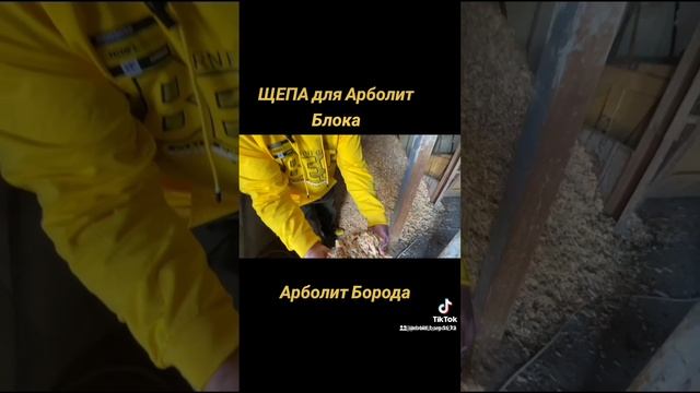 #домизарболита