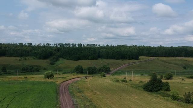 Тульская область. Чернский район. Липицы-Зыбино. Июль