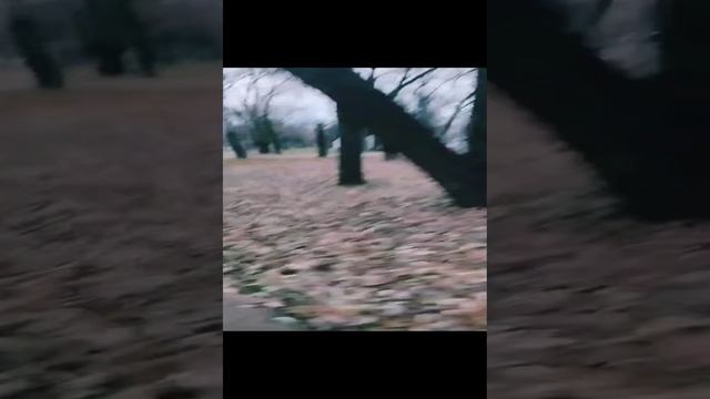 1000032264.mp4